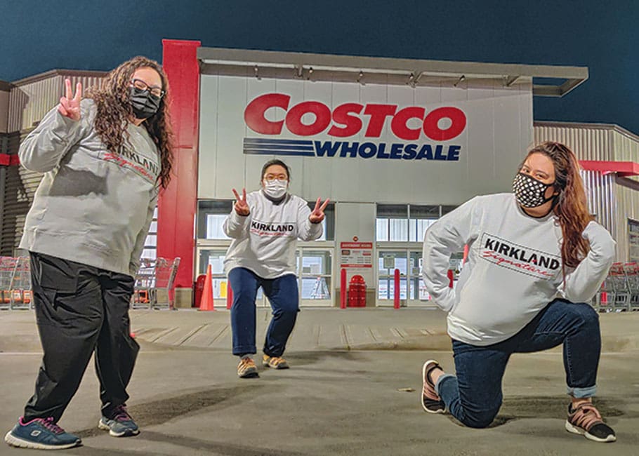 costco fans