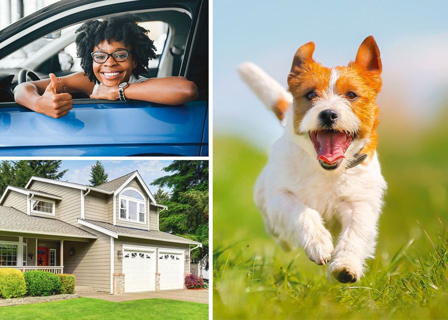 kid giving thumbs up in car, outside of a home, dog running toward camera