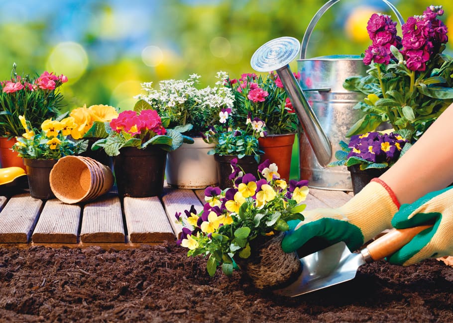 hands gardening