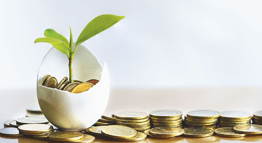 a plant in an egg shell will coins