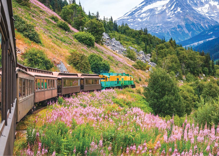 train in countryside