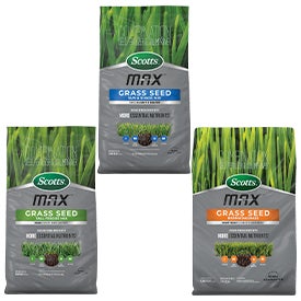 Scotts® Max™ Grass Seed