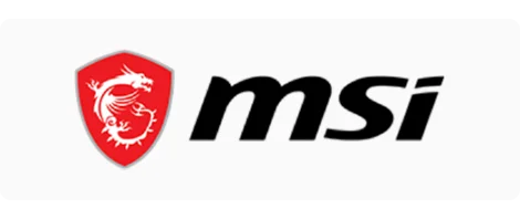 MSI