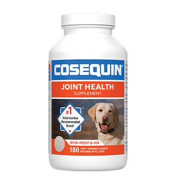 Cosequin Plus MSM & Hyaluronic Acid Joint Health  Supplement for Dogs