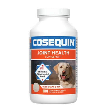 Cosequin Plus MSM & Hyaluronic Acid Joint Health  Supplement for Dogs