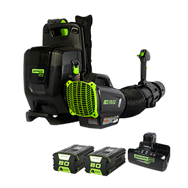 Greenworks Portable Power Tools