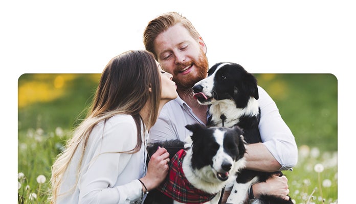 Sugarfina Lunar New Year 8-Piece Candy Bento Box Bundle, 52.2 oz Total