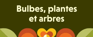 Bulbes, plantes et arbres.