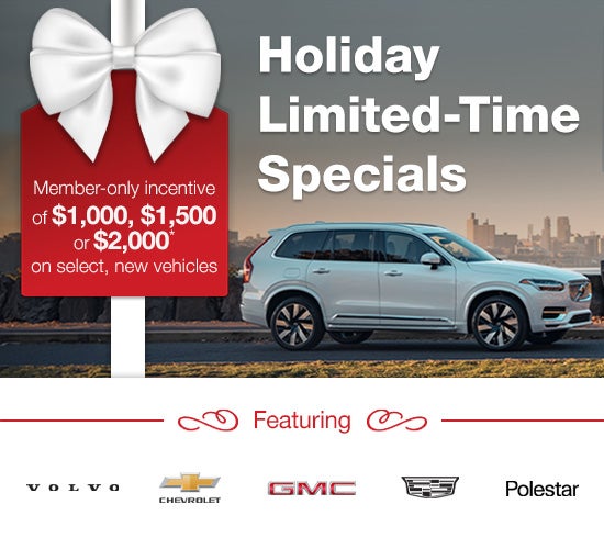 Holiday Limited-Time Specials with Costco Auto Program