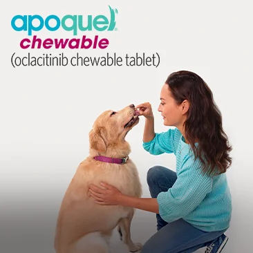 Apoquel Chewables