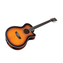 Guitars & Amplifiers