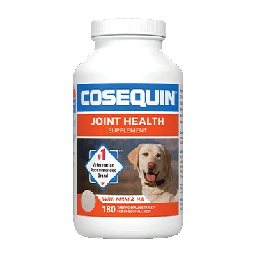 Cosequin Plus MSN & Hyaluronic Acid Joint Health Supplement for Dogs