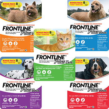 Frontline Plus Flea & Tick Treatment