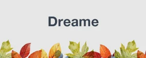 Dreame.