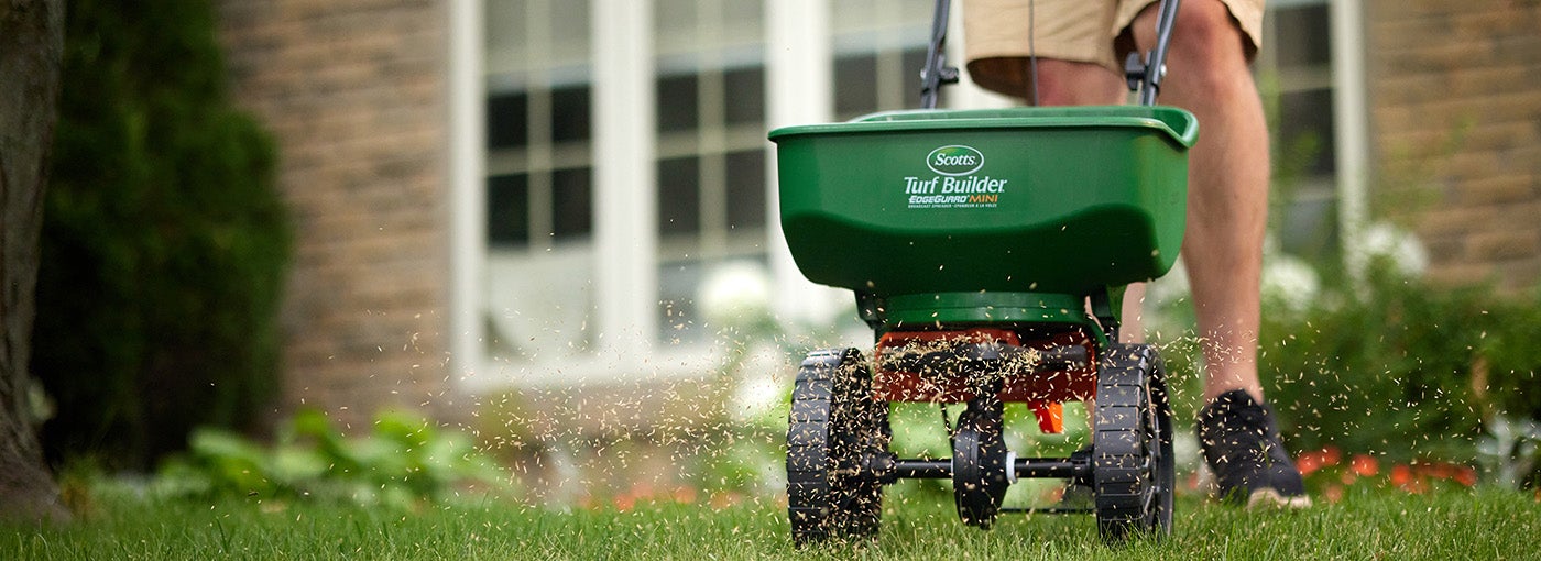 Feeding Your Lawn