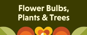 Flower Bulbs, Plants & Trees.