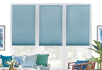 Blinds & Shades