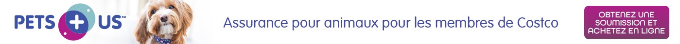 Pets plus us. Une assurance pour animaux pour les membres de Costco. Obtenez une soumission et achetez en ligne