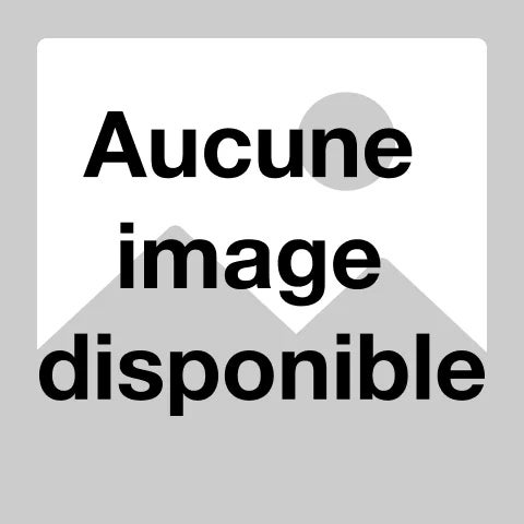 Aucune image trouvée