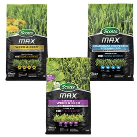 Scotts® Max™ Weed & Feed, Southern Weed & Feed AND/OR Crabgrass Preventer with Lawn Food
