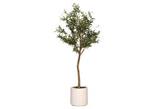 Plantes et arbres artificiels