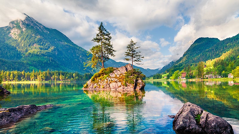Tree in middle of lake on rocky island in beautiful natural environment