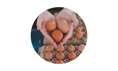 Hands forming a heart shape and cupping three brown chicken eggs
