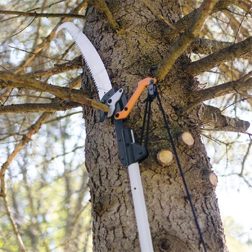 tree saw