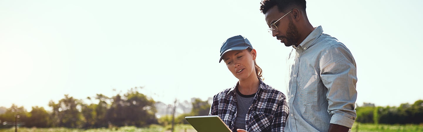 Man and woman with tablet in an agricultural field discussing green crops