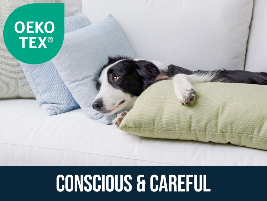 Conscious & Careful