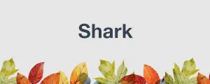 Shark.