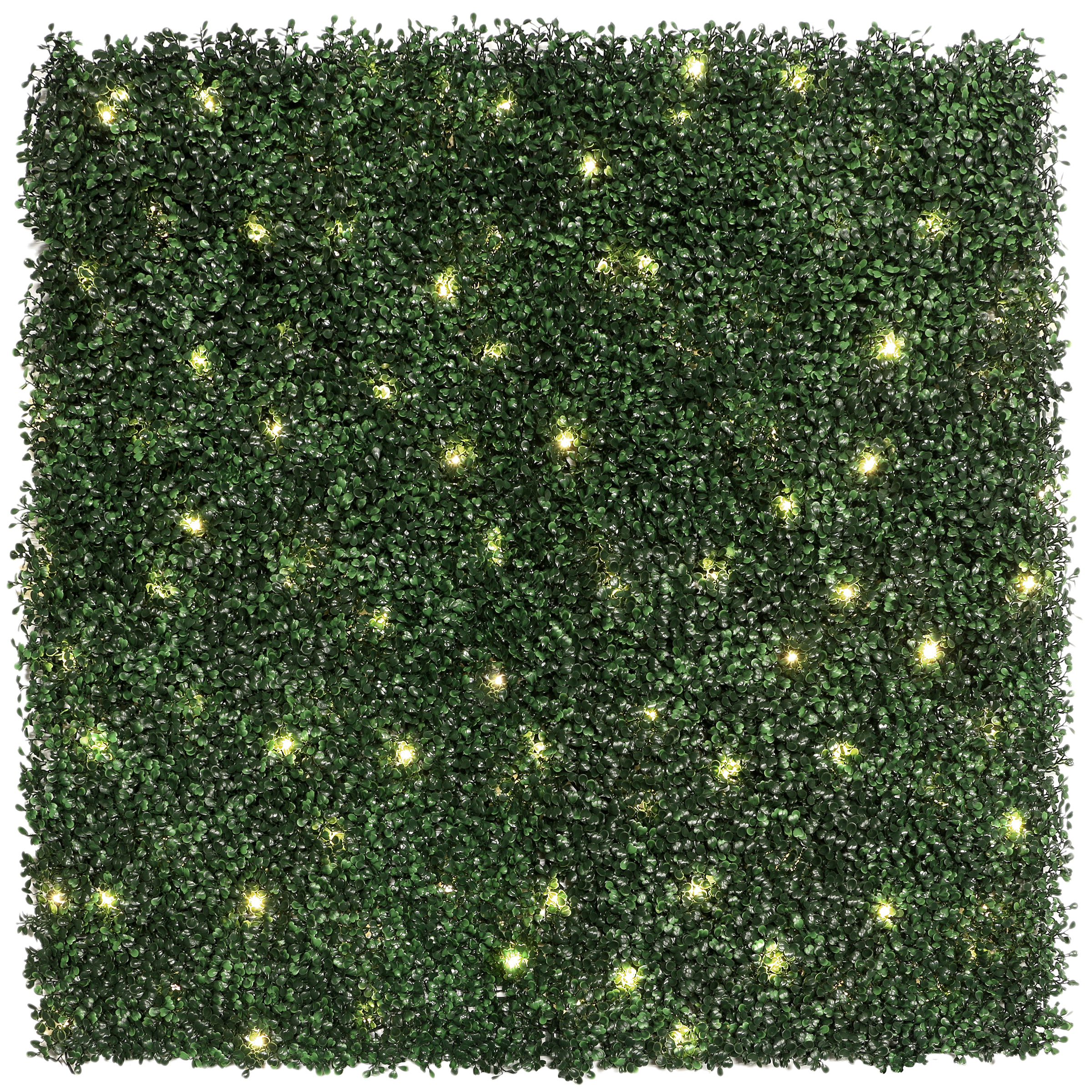 Golden Select Boxwood Artificial Hedge Panel with Lights - 4 Pack