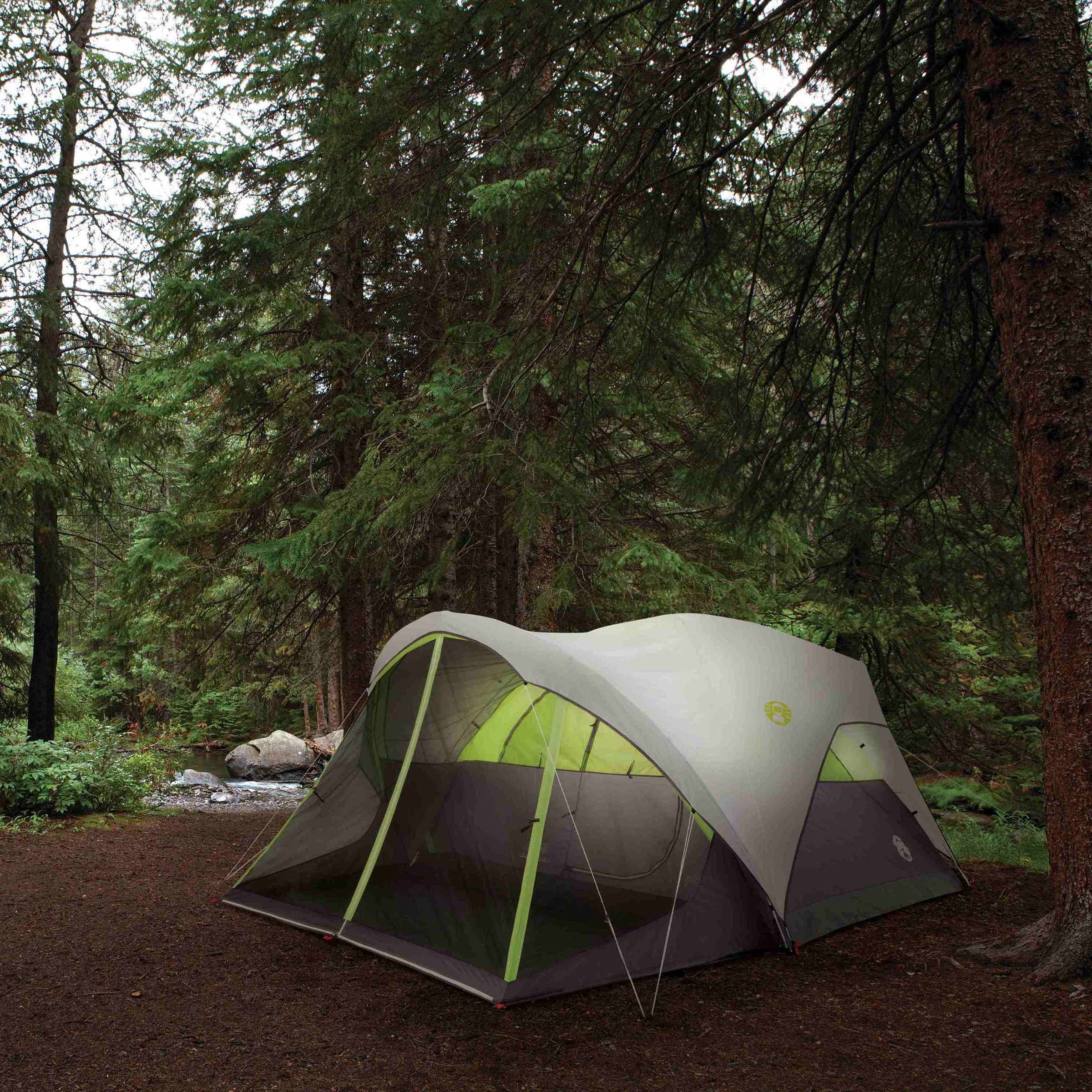 Coleman Steel Creek 6-person Tent | Costco