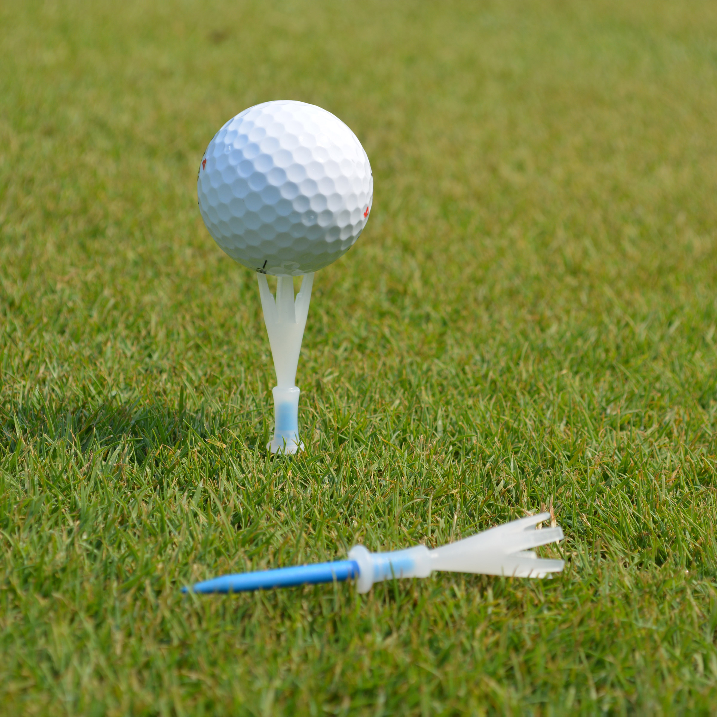 Enlarge Product Preview 4