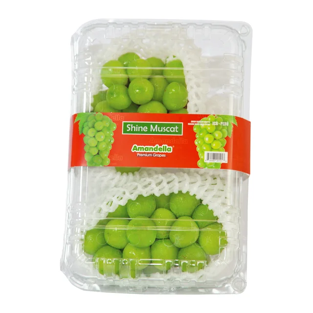SHINE MUSCAT GRAPES 1.76 LBS