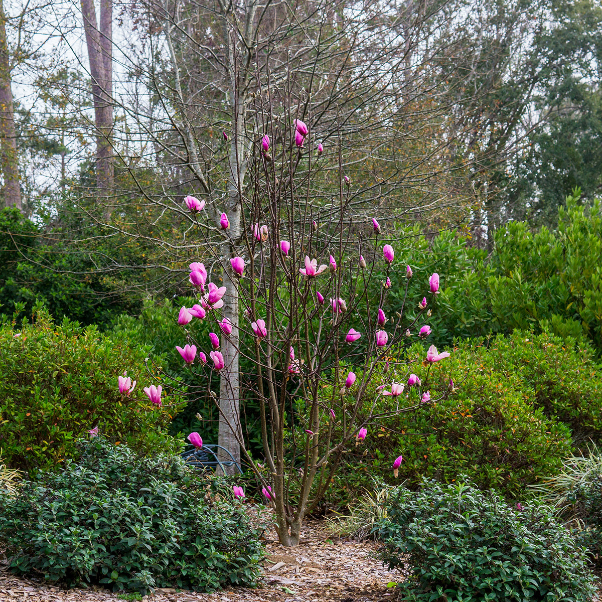 Enlarge Product Preview 5