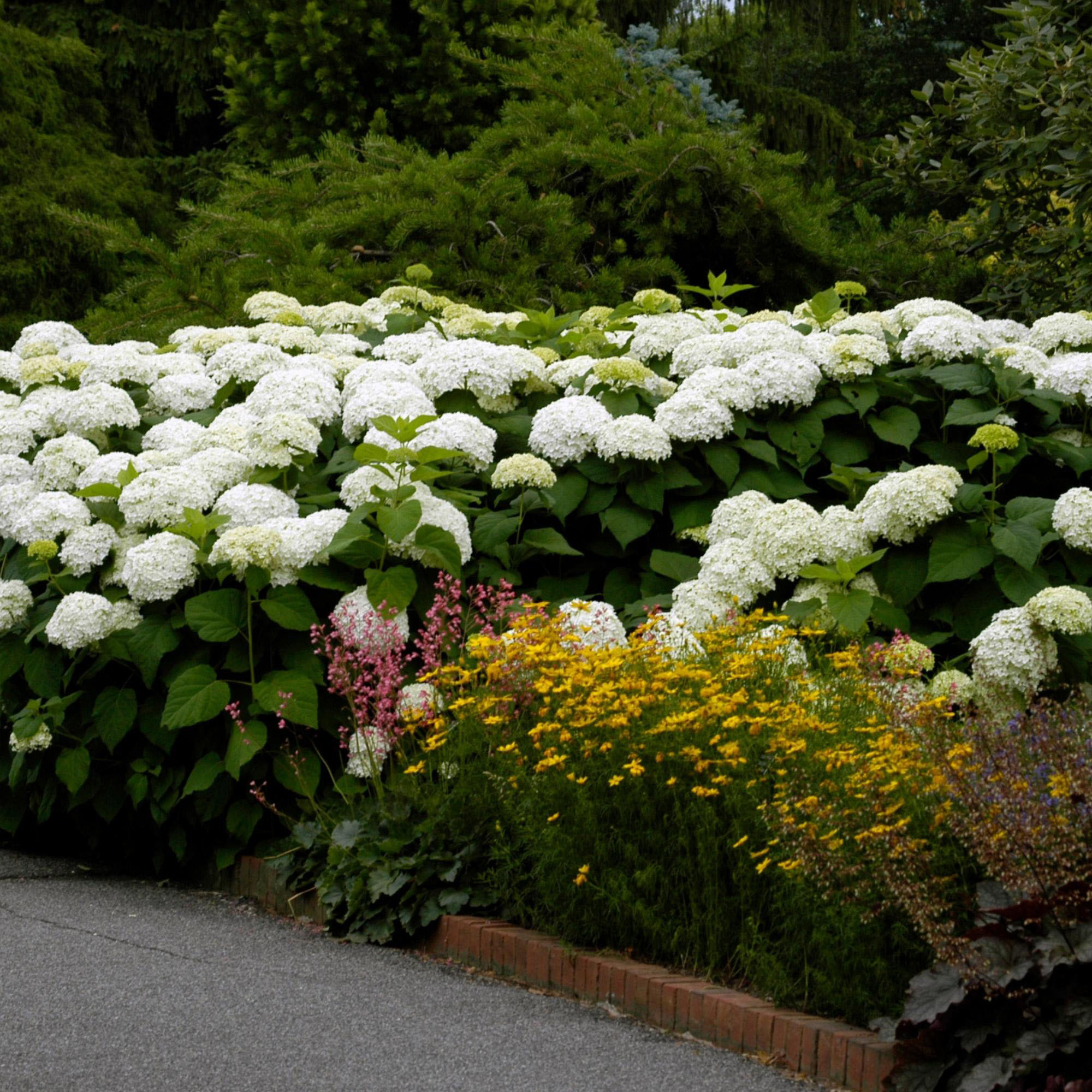 Enlarge Product Preview 5 Successfully Enriched by automation Job.