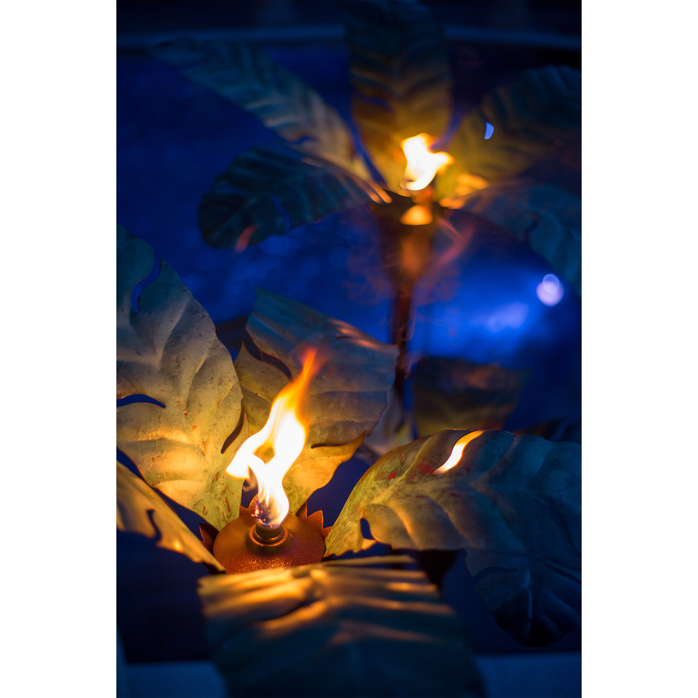 Enlarge Product Preview 4