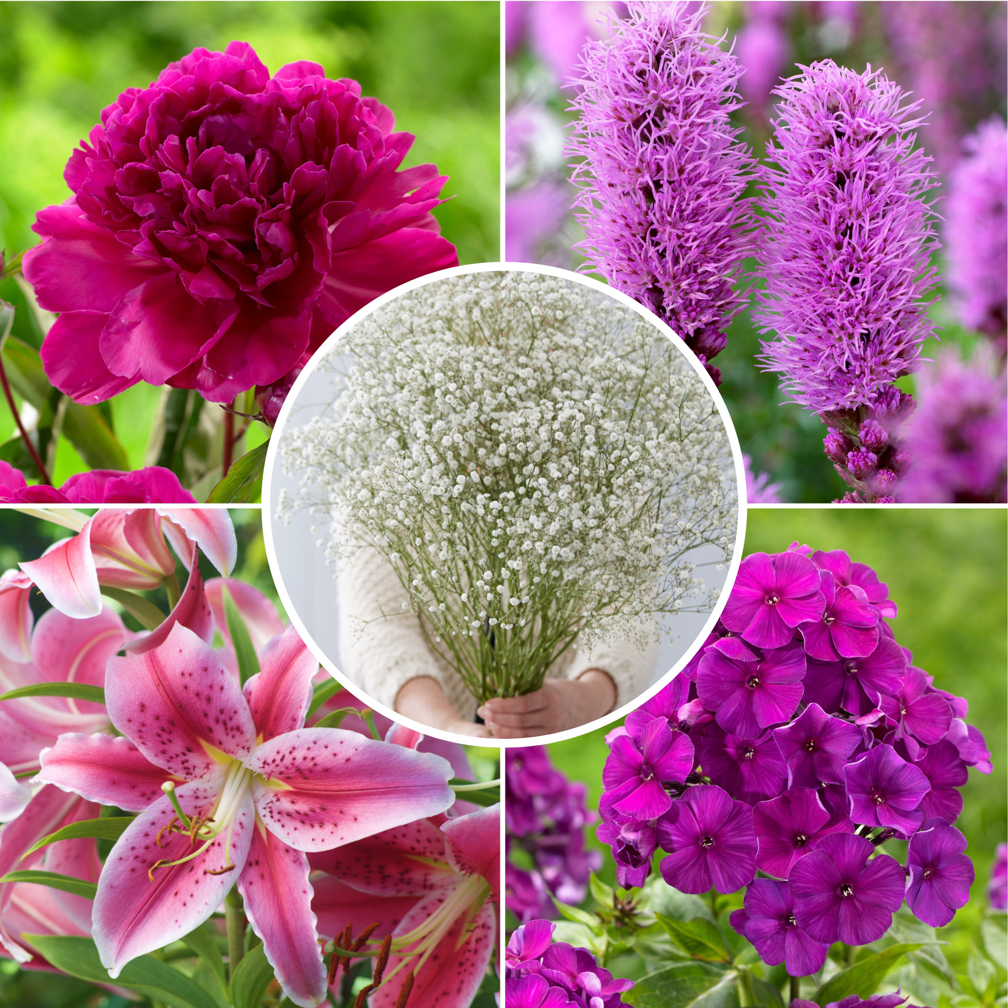 Enlarge Product Preview 5