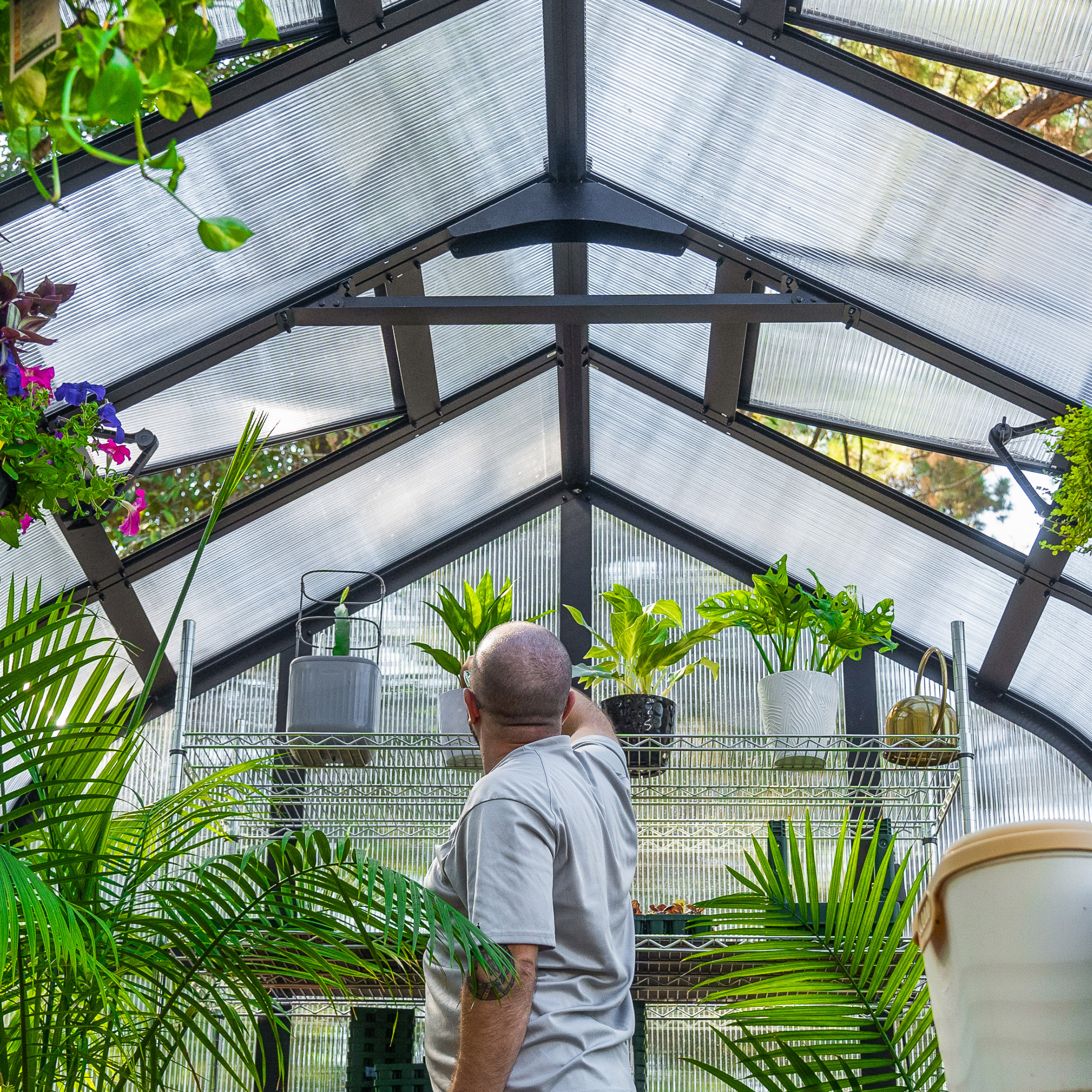 Vego Garden Pacific Greenhouse with Auto Vents and Folding Shelf