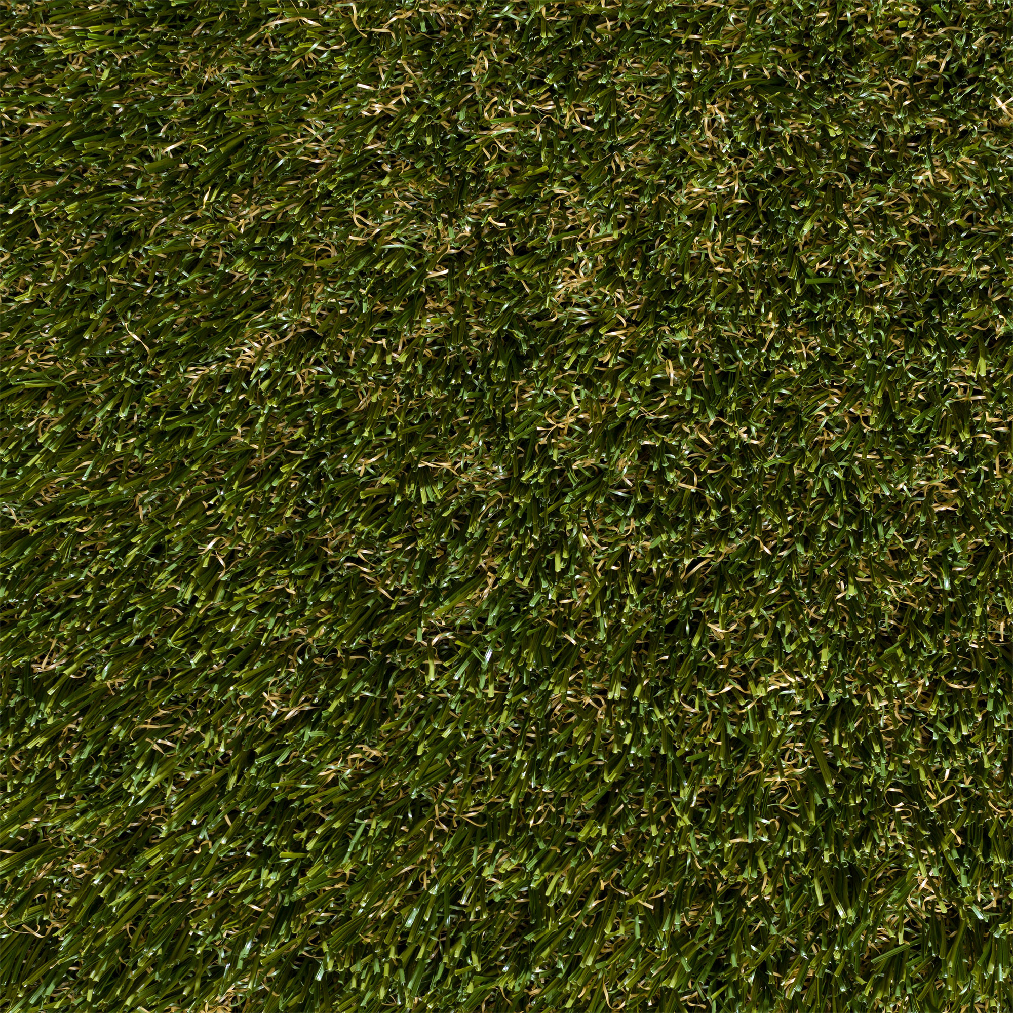 Enlarge Product Preview 10 Successfully Enriched by automation Job.