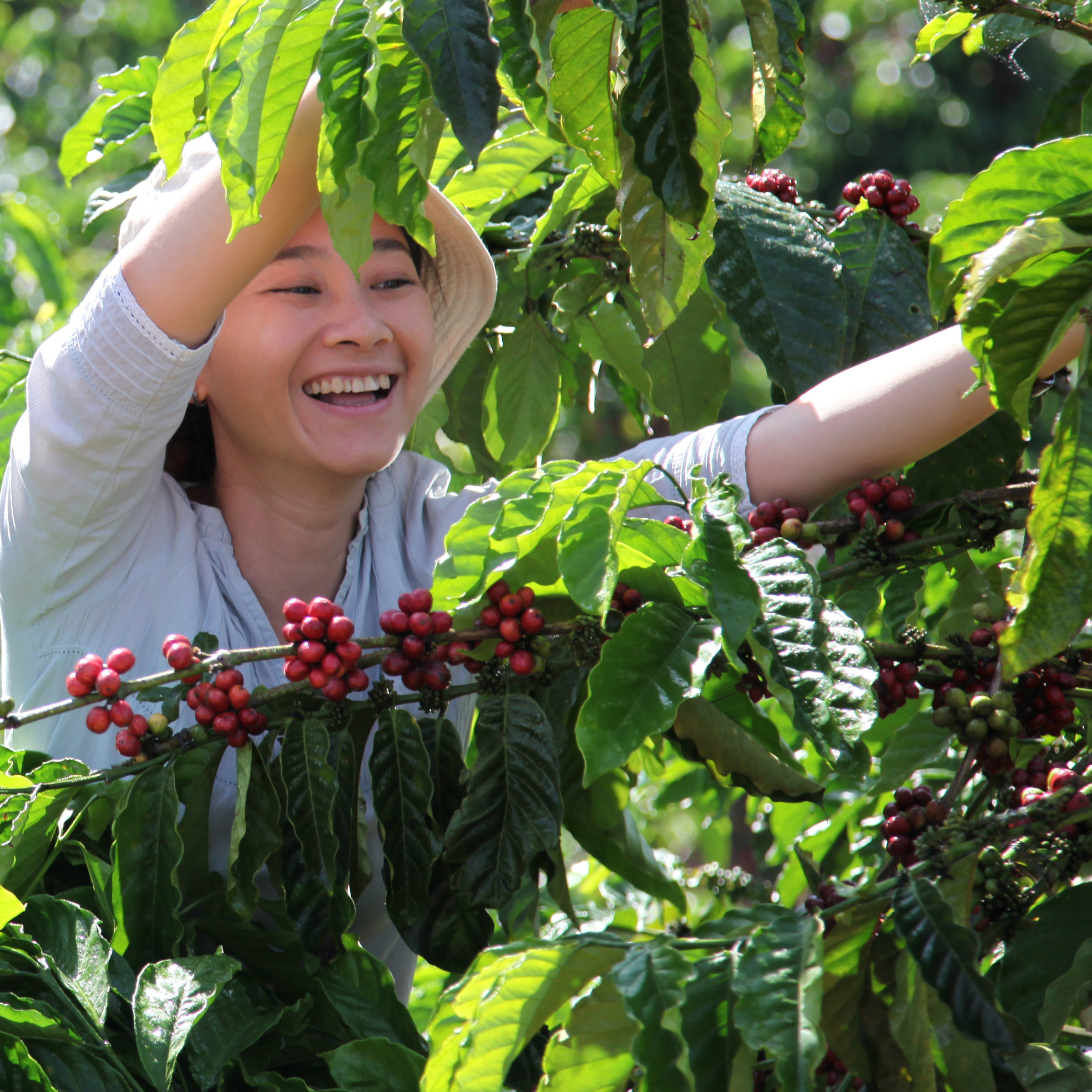 Enlarge Product Preview 4