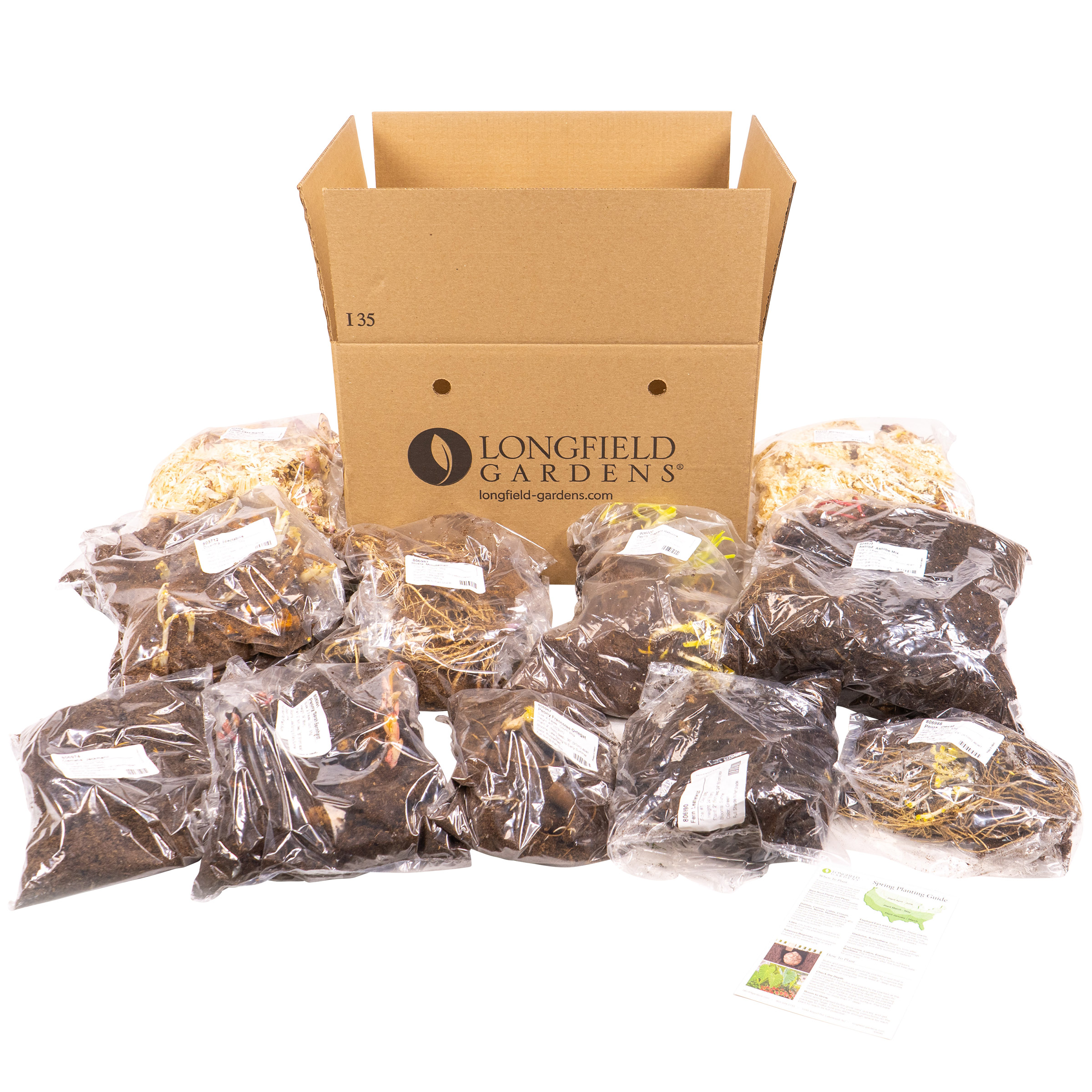 Enlarge Product Preview 6