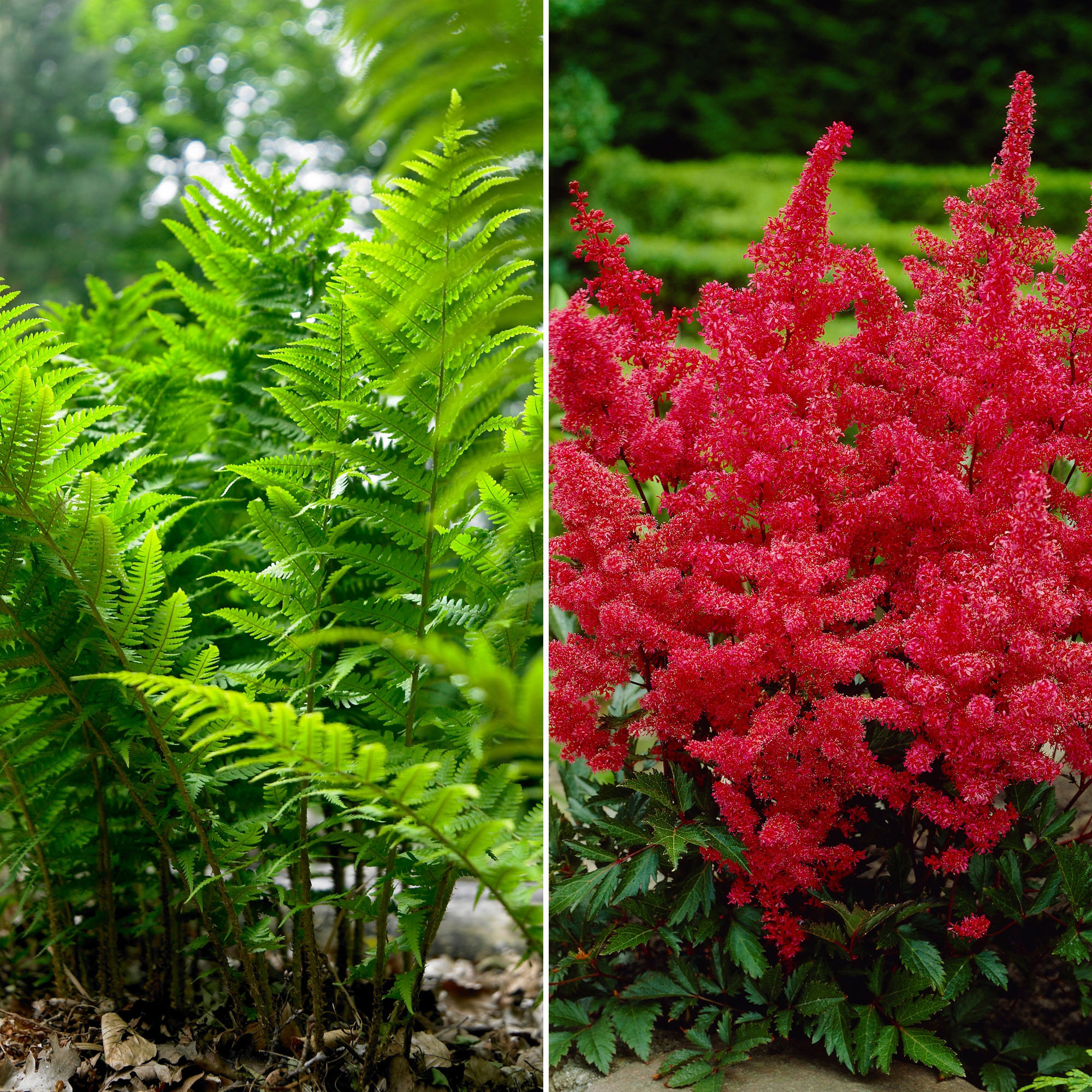 Enlarge Product Preview 3