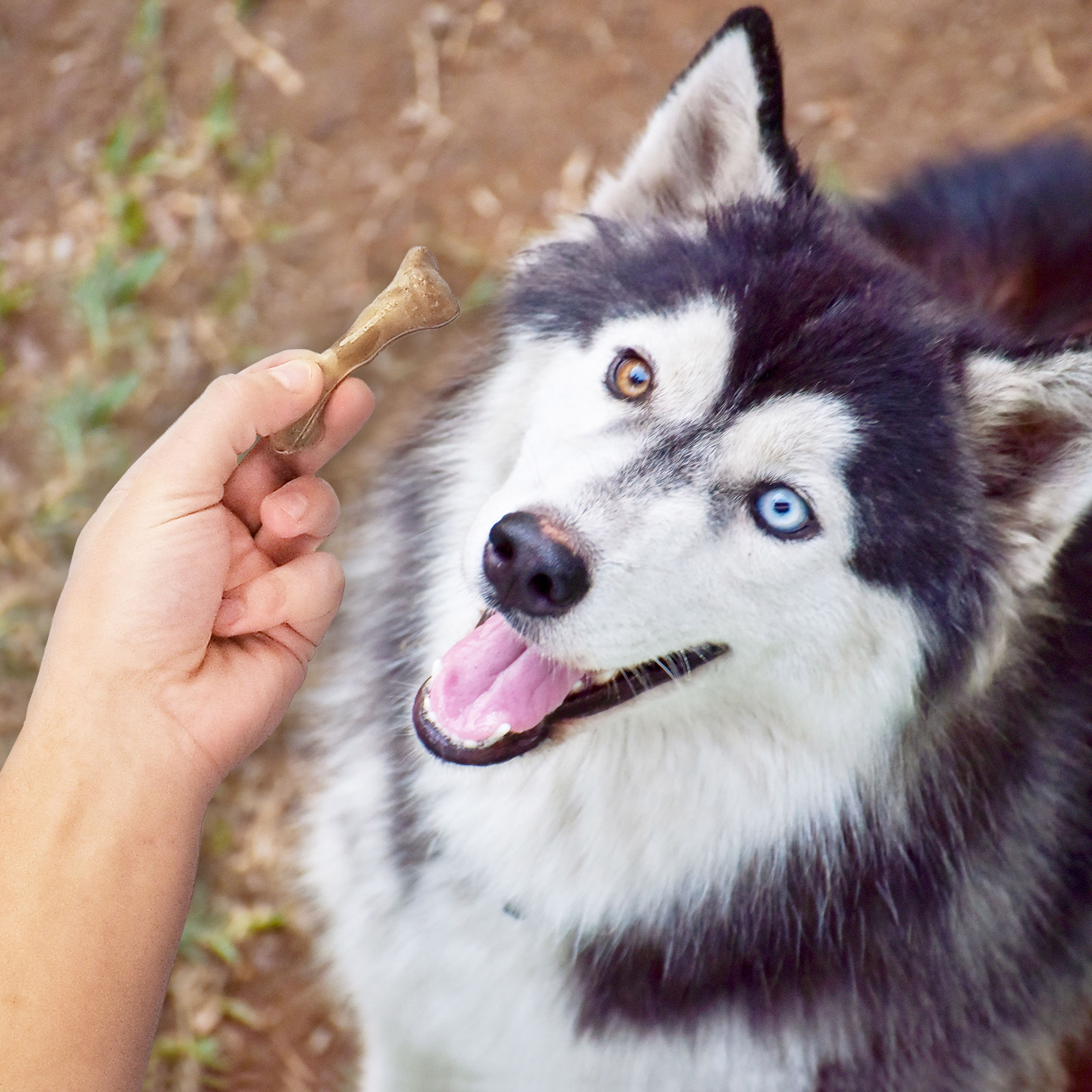 Enlarge Product Preview 4