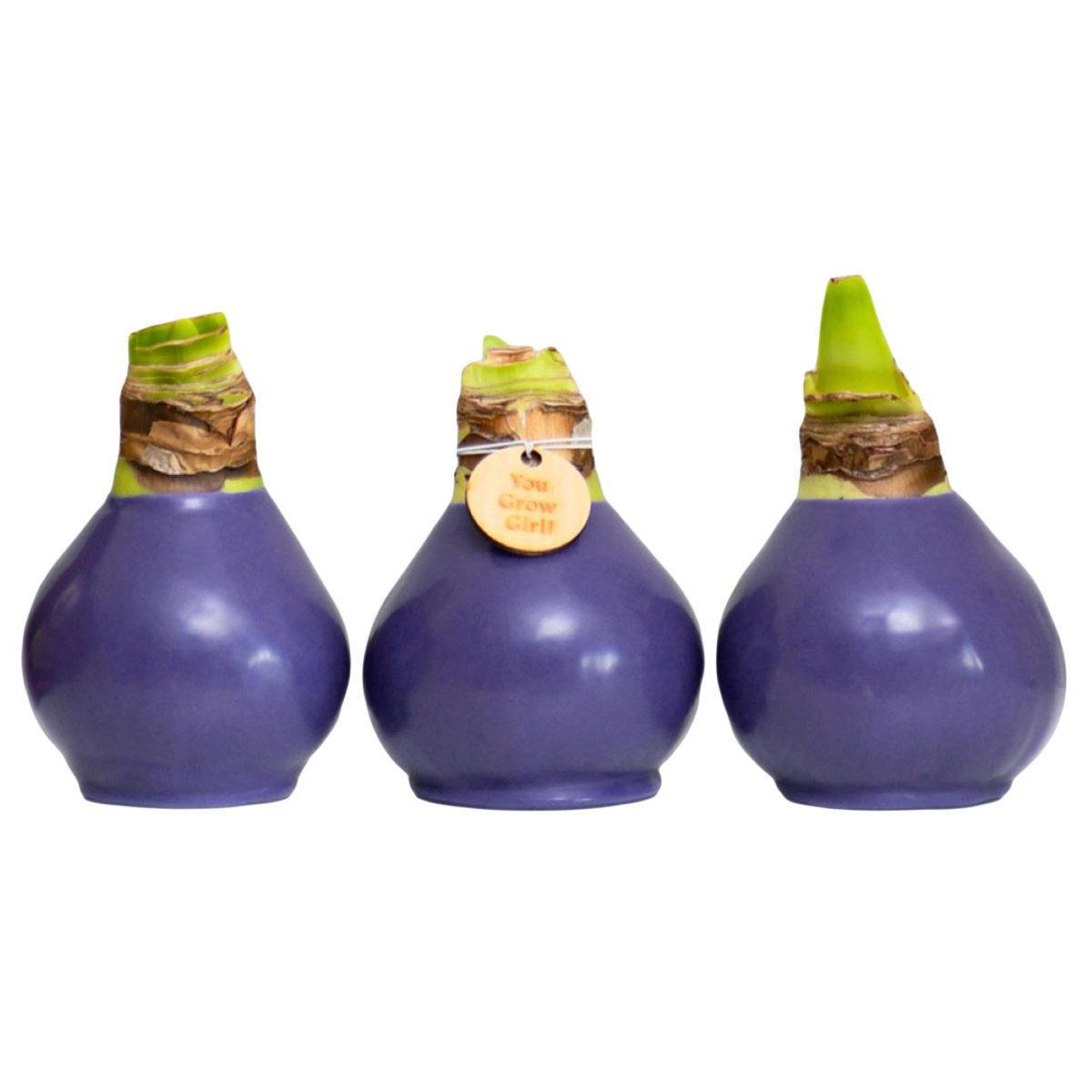 Enlarge Product Preview 3