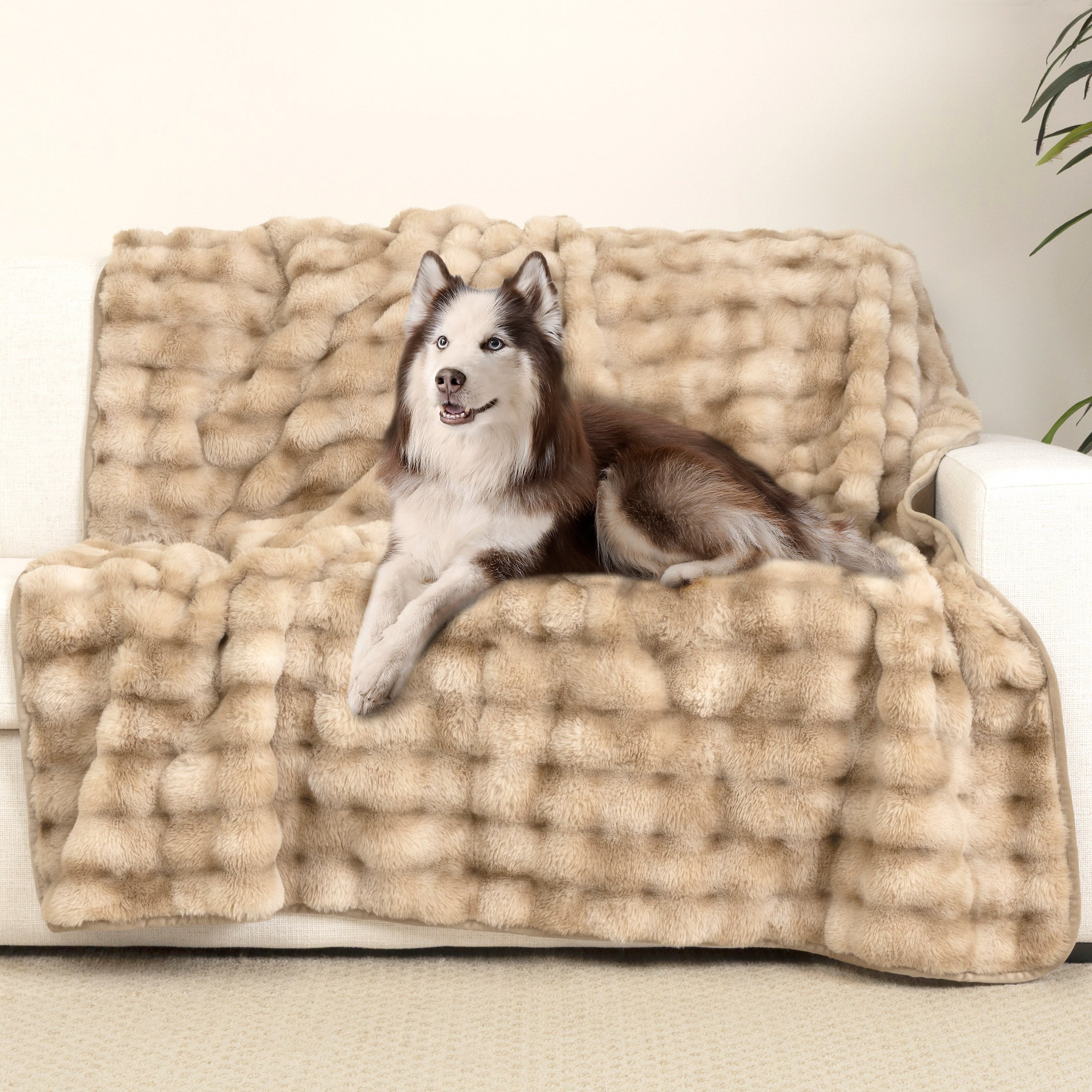 【VAULTROOM】DOG & DUCK BLANKET DOG & DUCK BLANKET – VAULTROOM