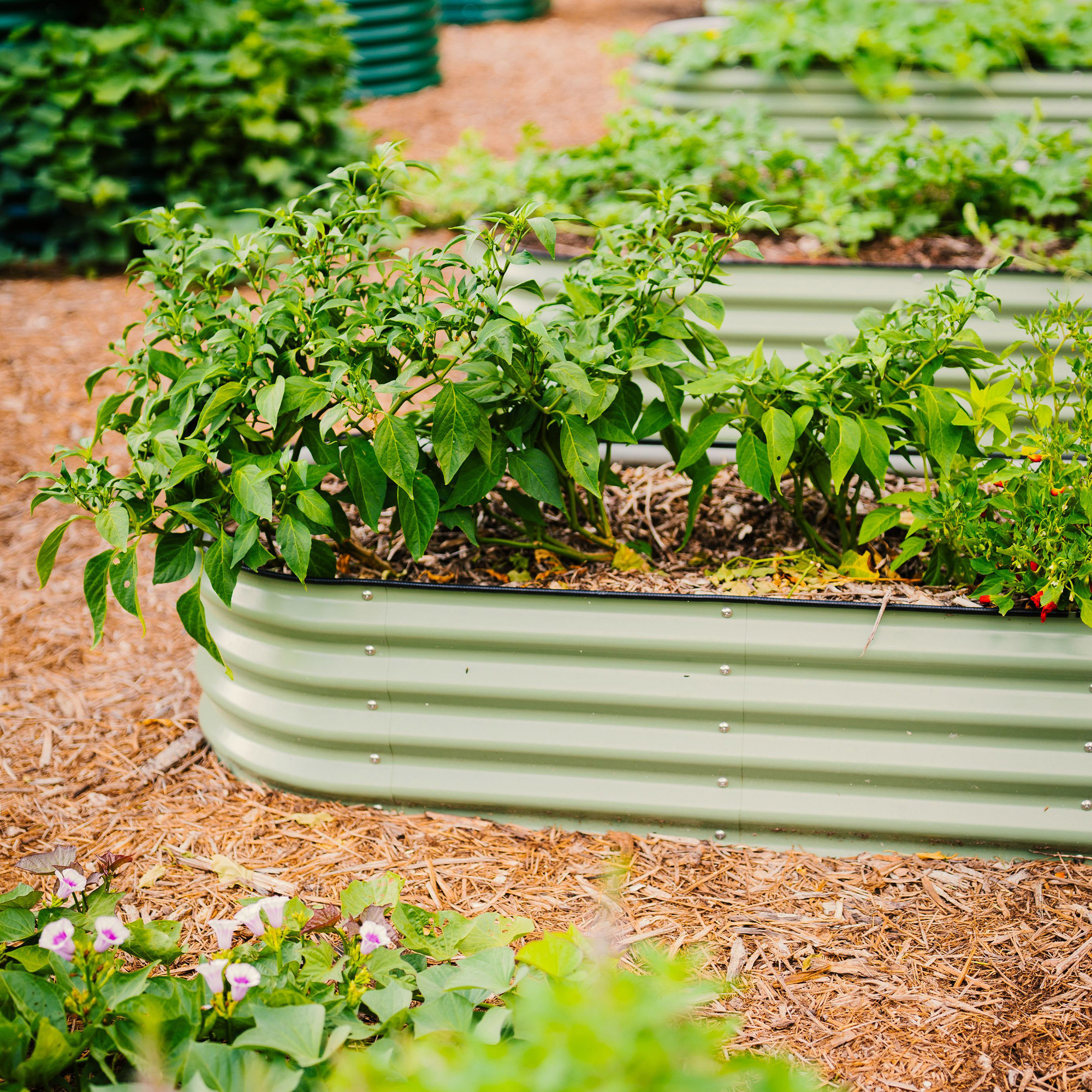 Enlarge Product Preview 4 Successfully Enriched by automation Job.