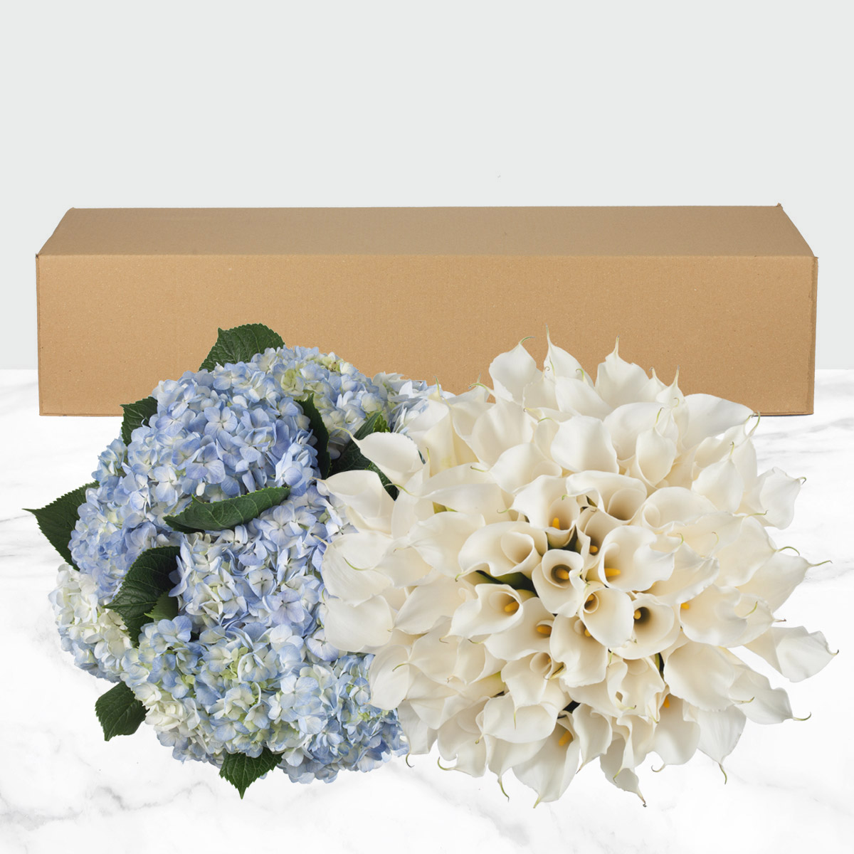 Enlarge Product Preview 2