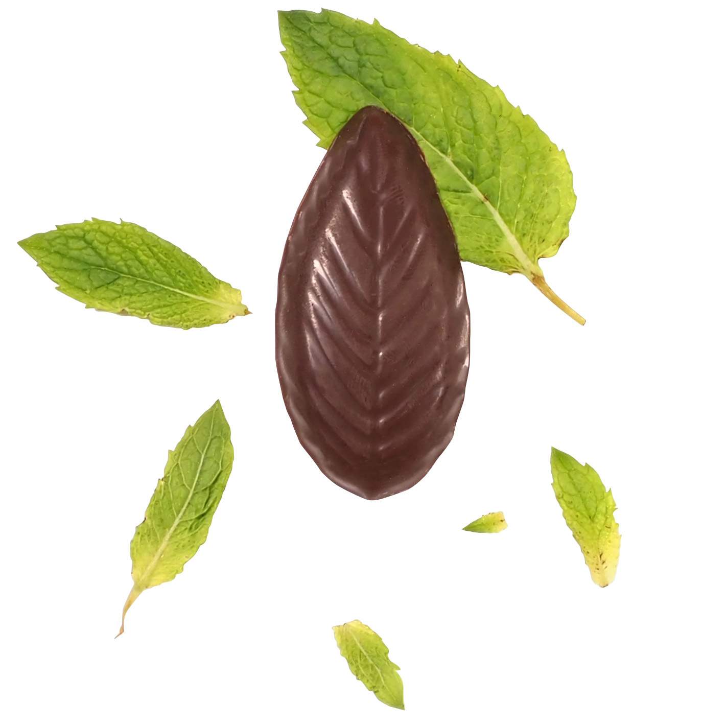 Enlarge Product Preview 5 Successfully Enriched by automation Job.